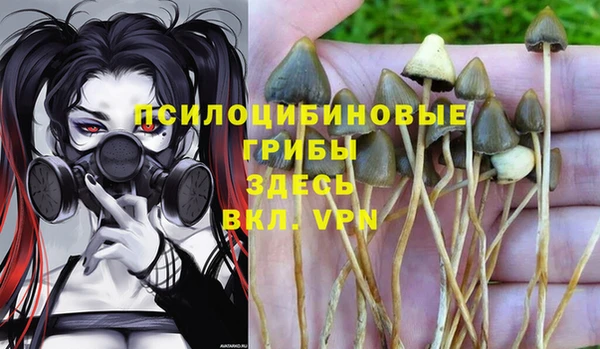 дурь Вязники