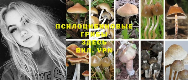 дурь Вязники