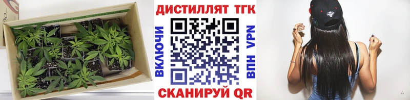 Дистиллят ТГК концентрат  Купить где  Кремёнки 